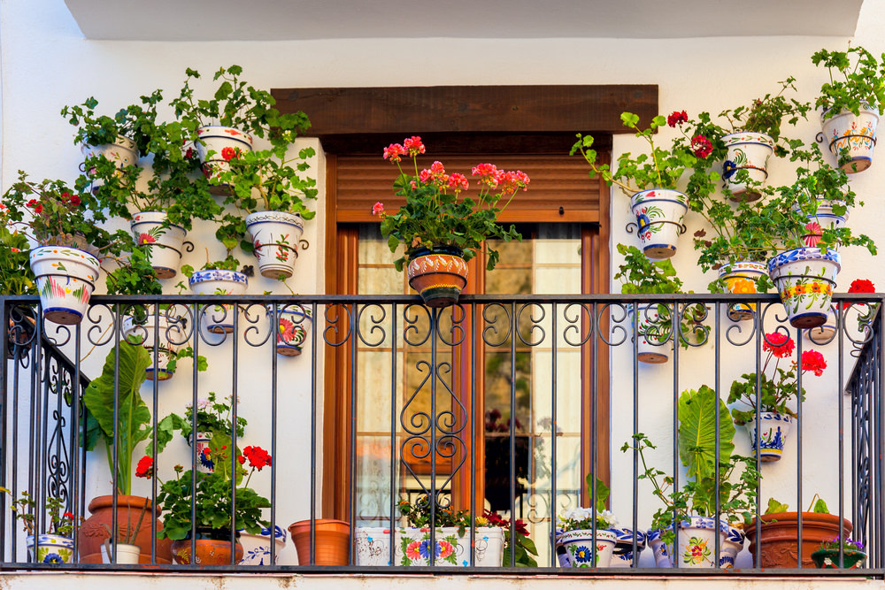 Küçük balkon dekorasyonu için dikey bitki yerleşimi