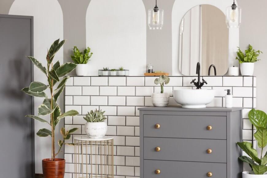 Işık istemeyen banyo çiçekleri